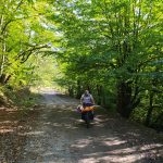 دوچرخه سواری مسیر چنگلی پیسه سون