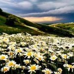 پیمایش دریاچه سوها به آبشار لاتون از اصفهان