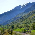 تور 2 روزه به الیگودرز استان لرستان