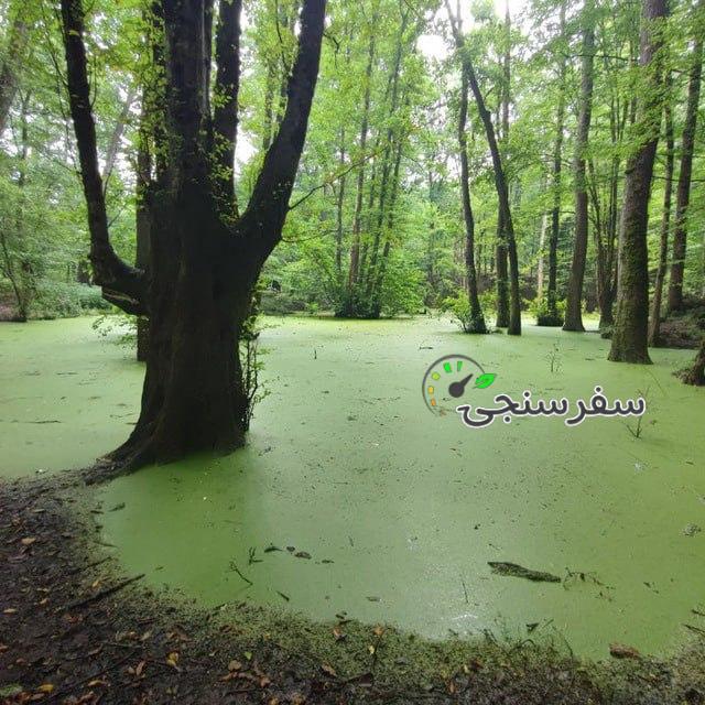 احسان صدقی تور شمال