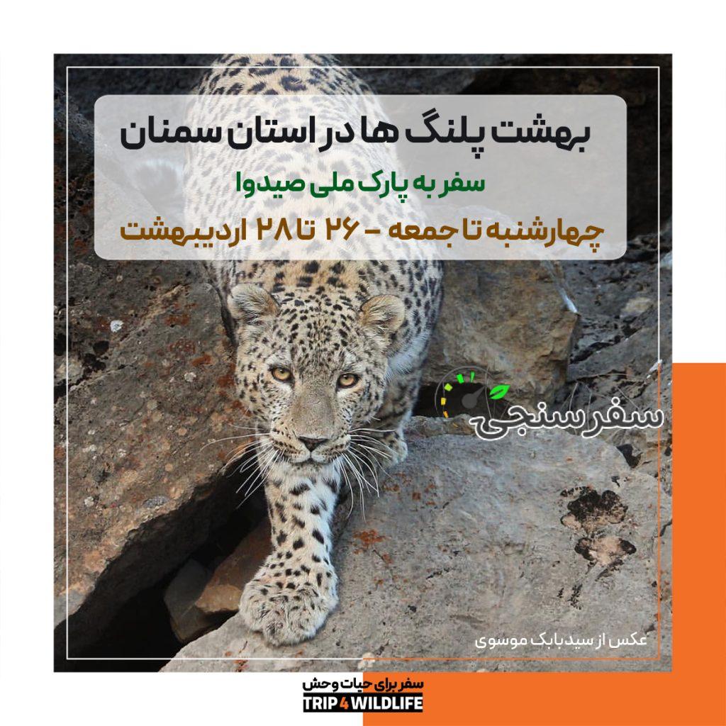 《بهشت پلنگها در استان سمنان》 سفر به پارک ملی صیدوا