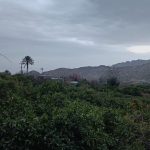 محمود وفادار اقامتگاه بومگردی کمنزیل در کرمان