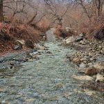 رامیار ترخون لیدر طبیعت گردی و کوهنوردی در سردشت