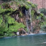 محمد پارسا لیدر محلی تنگه براق اقلید