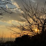 سارا علی یزدی تولید محتوا گردشگری با گوشی در تهران