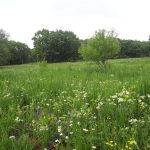 اقامتگاه بومگردی جوانرود ، کرمانشاه