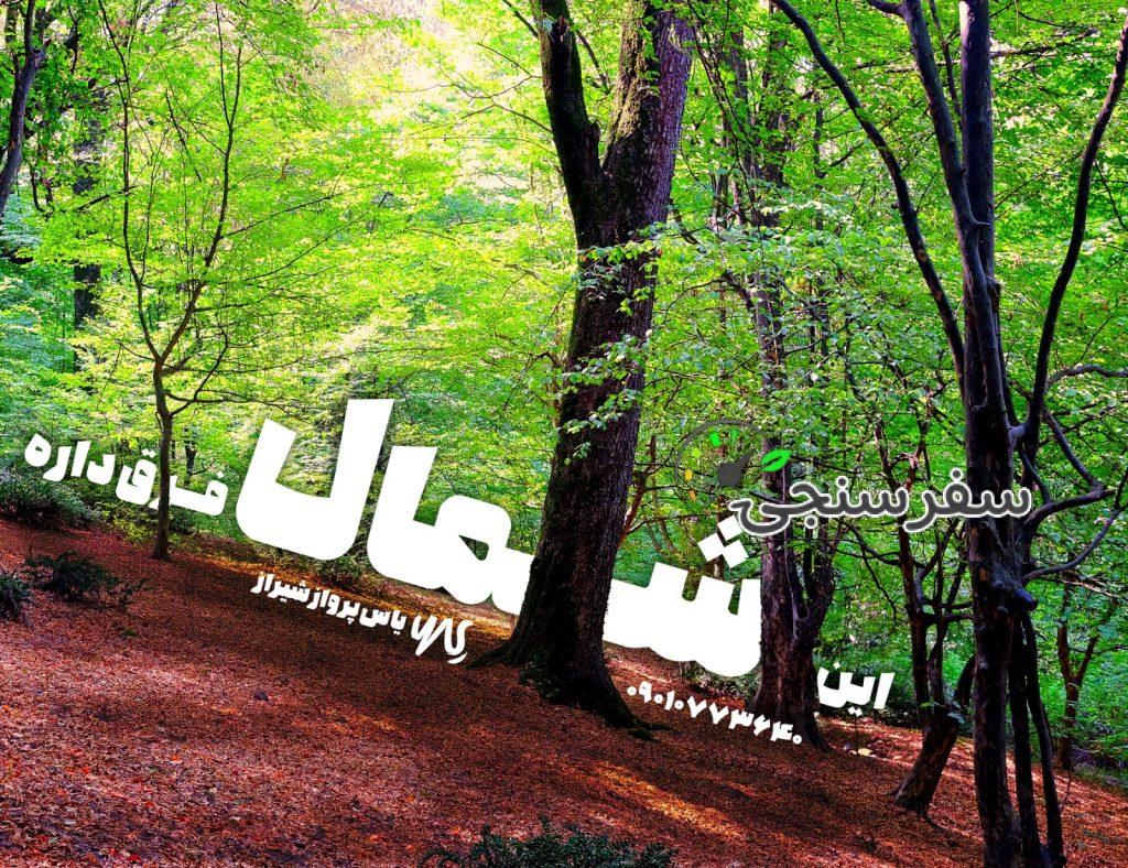 تور اسب سواری شمال تالش لیسار سوباتان از شیراز