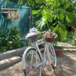 باغ ویلا گردشگری خورشید در سامان چهارمحال و بختیاری