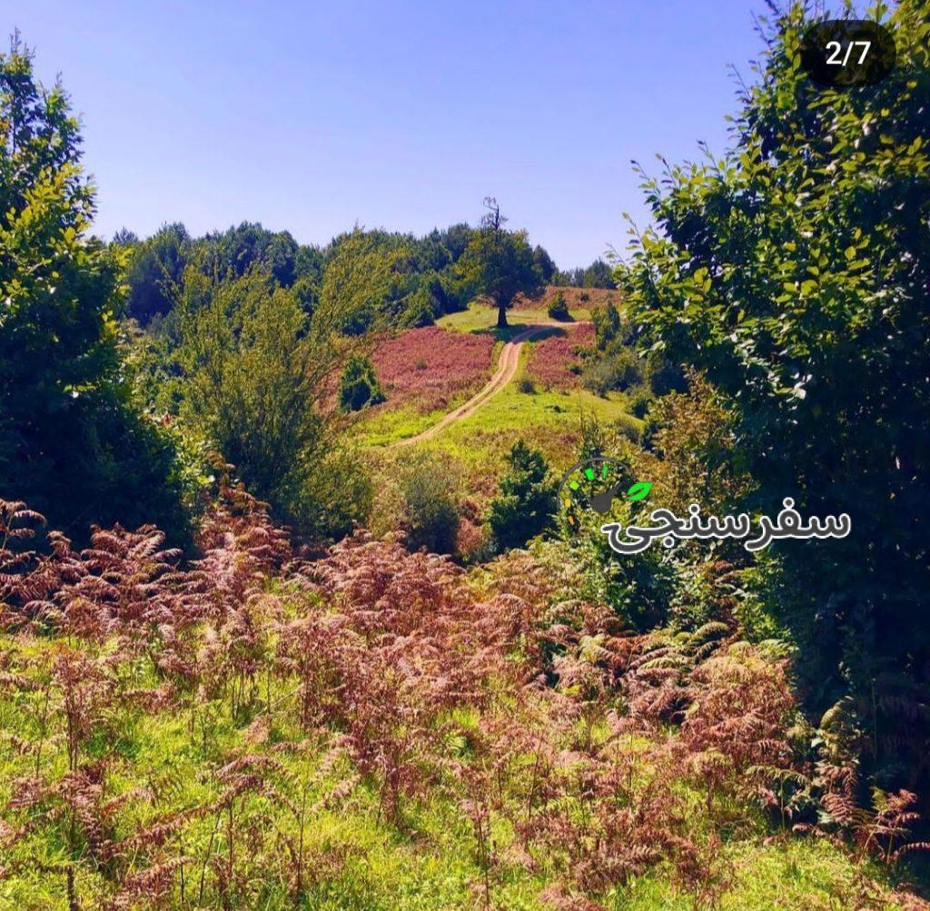 سفر به درفک