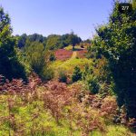 سفر به درفک