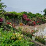 معصومه تیمورنژاد اقامتگاه دوسین در ایلام