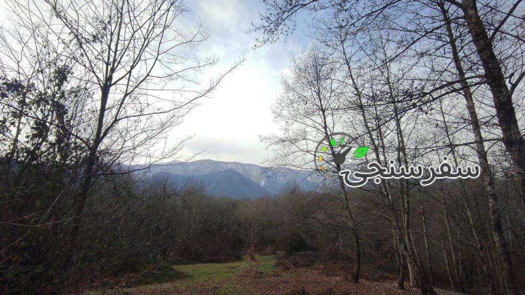 قادر سلیمانی تور لیدر محلی جنگل های آمل