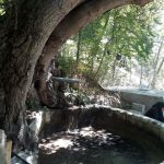 باغ ویلای پارسا در کلور اردبیل