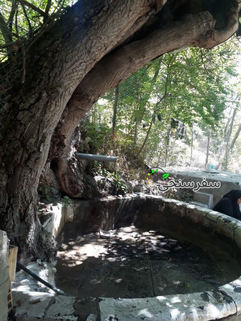 باغ ویلای پارسا در کلور اردبیل