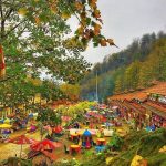 تور گیلان گردی