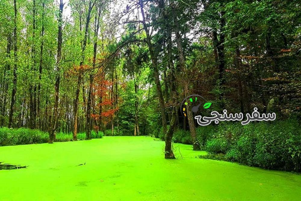 تور دو روز مرداب سراوان و ماسوله