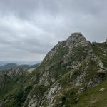 سعید ناصری لیدر محلی تبریز و اطراف