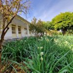 معصومه تیمورنژاد اقامتگاه دوسین در ایلام