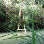 ملیحه سادات مهدوی تورلیدر تخصصی کرمانشاه