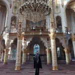 ملیحه سادات مهدوی تورلیدر تخصصی کرمانشاه