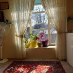 خانه گردو اولین اقامتگاه بومگردی در دماوند/