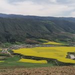 آیتک قاسمی، راهنمای گردشگری محلی گرگان