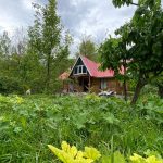 تور تالش گردی از تهران