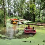 تور 4/5 روزه گیلان