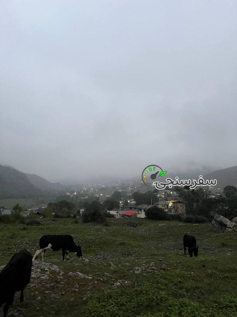 کمپ در الیت از تهران