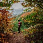 محمد محمدپور راهنمای بین المللی  گردشگردی –  برون مرزی: گرجستان ،آذربایجان ، ترکیه ، ارمنستان