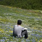 محمد محمدپور راهنمای بین المللی  گردشگردی –  برون مرزی: گرجستان ،آذربایجان ، ترکیه ، ارمنستان