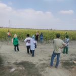 آیتک قاسمی، راهنمای گردشگری محلی گرگان