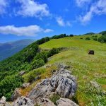 مهرداد صباحی اجاره خودرو آفرود جهت طبیعت‌گردی با تمام امکانات در تهران