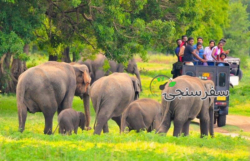 تور سریلانکا