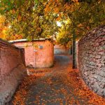 تور پاییزی خوانسار ارگ‌گوگد