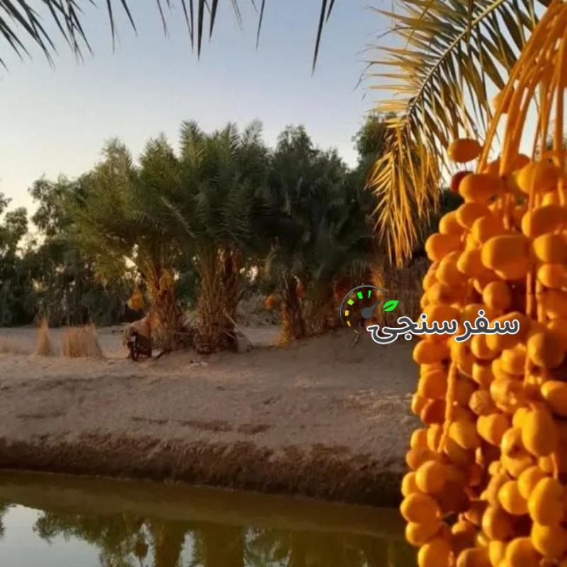 تور یک روزه vip ابوزید آباد