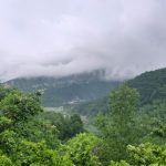 اجاره ویلای جنگلی لفور در استان مازندران شیرگاه