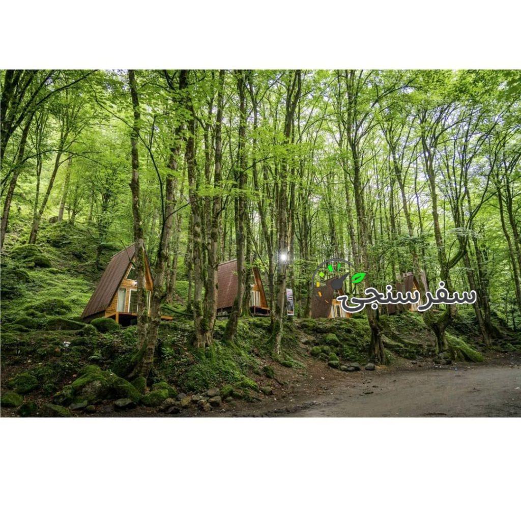 کلبه های جنگلی جنگل صفارود رامسر