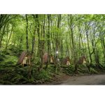 کلبه های جنگلی جنگل صفارود رامسر