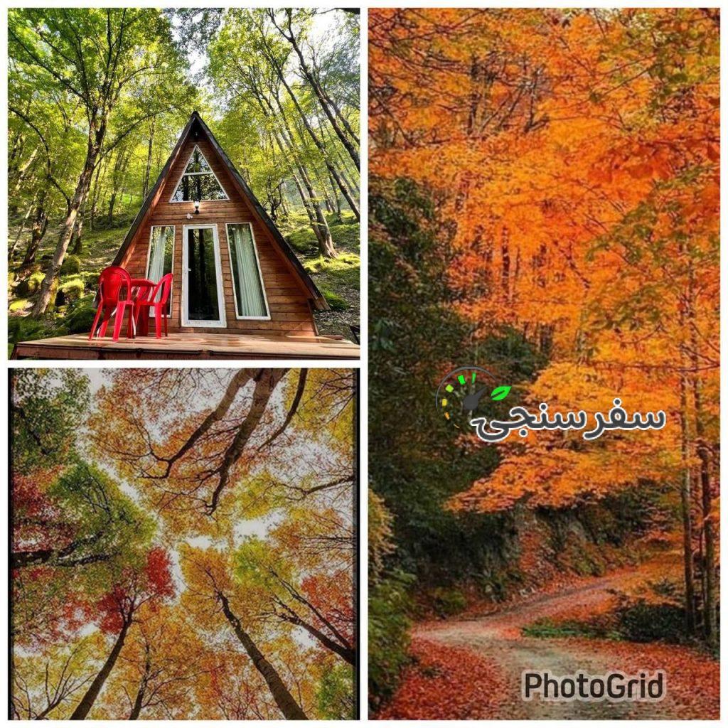 کلبه های جنگلی جنگل صفارود رامسر