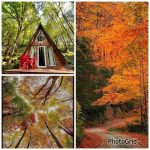 کلبه های جنگلی جنگل صفارود رامسر