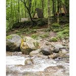 کلبه های جنگلی جنگل صفارود رامسر