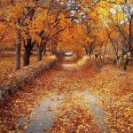 تور پاییزی خوانسار ارگ‌گوگد