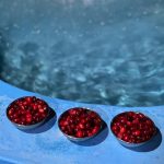 فرزانه میرزایی اقامتگاه بومگردی آلتین در اصفهان