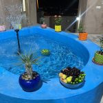 فرزانه میرزایی اقامتگاه بومگردی آلتین در اصفهان