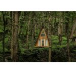 کلبه های جنگلی جنگل صفارود رامسر