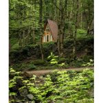 کلبه های جنگلی جنگل صفارود رامسر