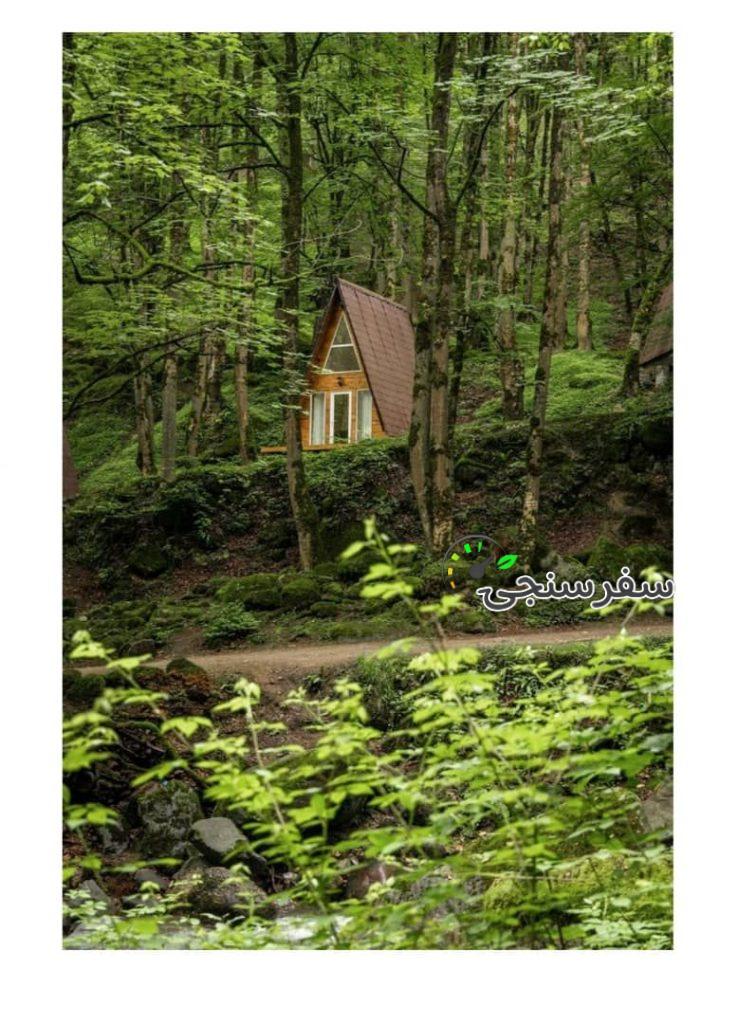 کلبه های جنگلی جنگل صفارود رامسر