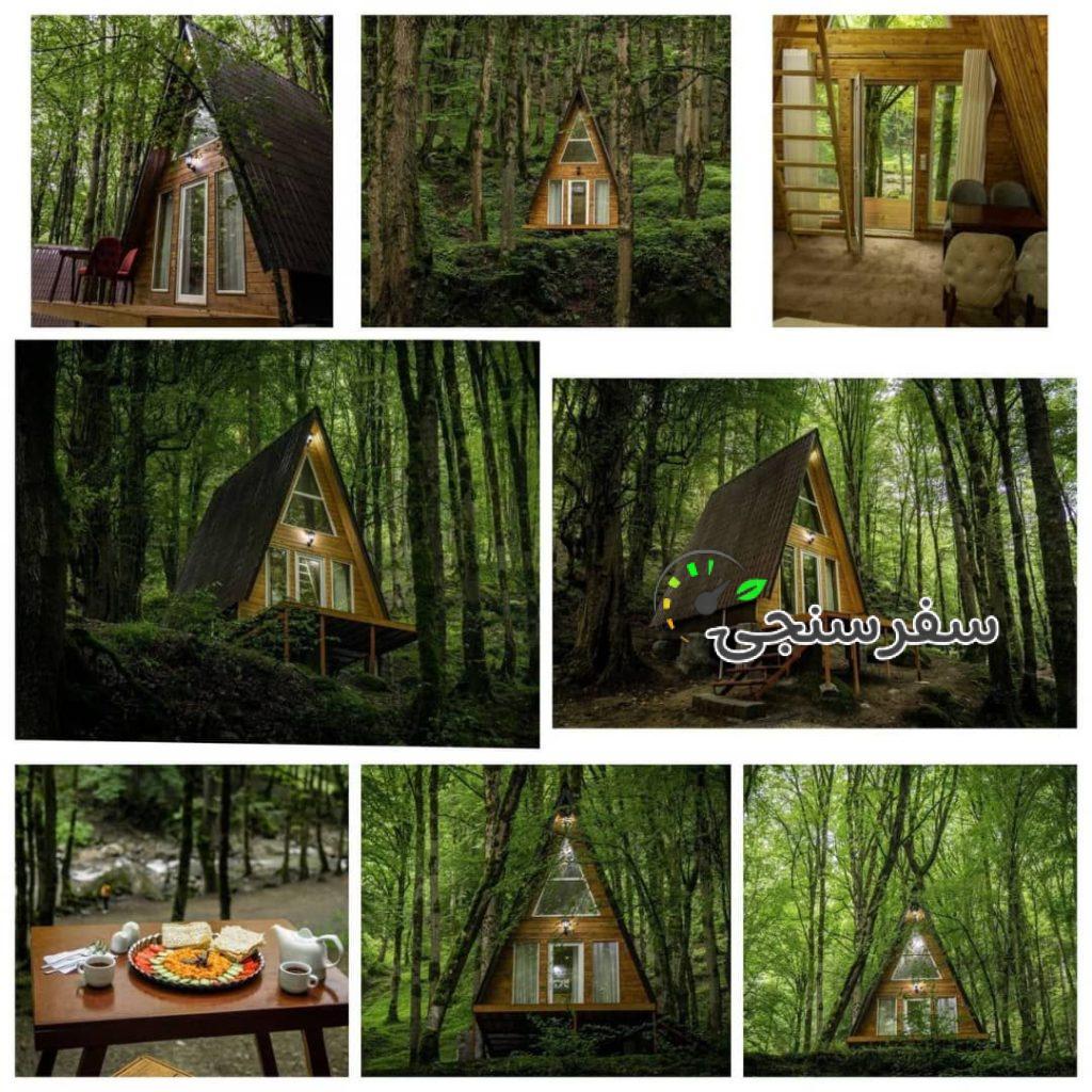 کلبه های جنگلی جنگل صفارود رامسر