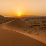 تور گل یا پوچ در کویر